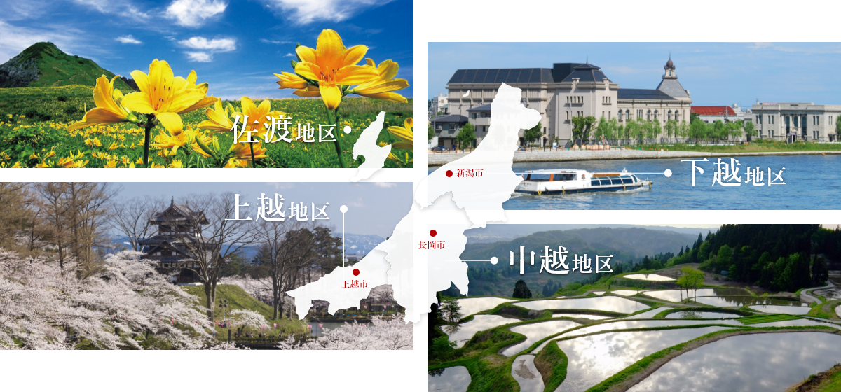 新潟は上越・中越・下越と佐渡地域に分けられています。京都に近い方から上越・中越・下越と分かれています。