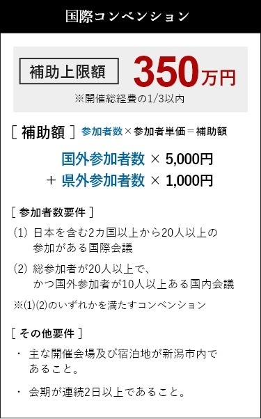 国際コンベンション　補助上限額350万円※開催総経費の1/3以内